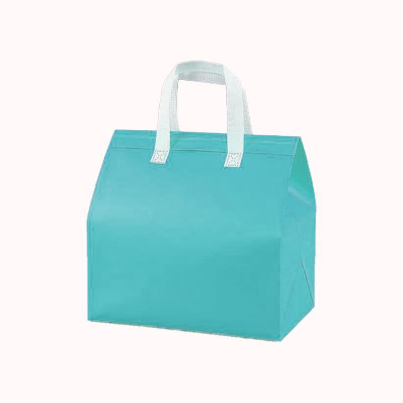 שקית תרמית צידנית עם ידיות &ndash; 50 יח 30/32 טורקיז 1