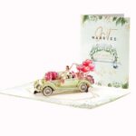 Nature Image